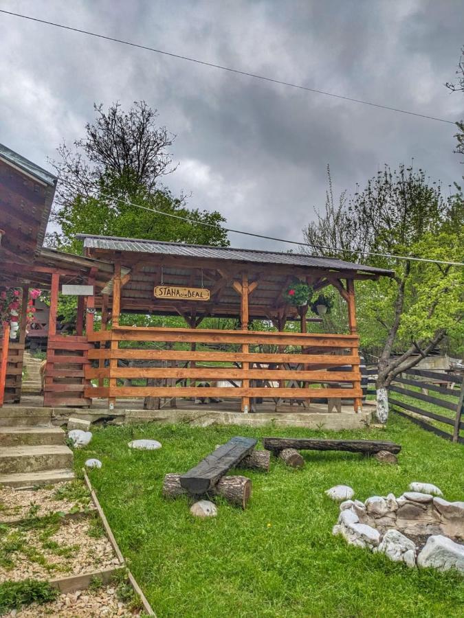 Cabana „Stana Din Deal” Provita de Sus Exteriér fotografie